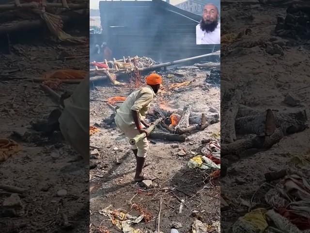 #short videos #informative videos #funny videos #