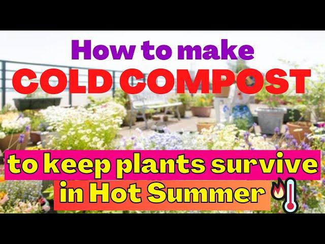 How to make cold compost to help plants survive in this hot Summer? | Great for beginner gardeners