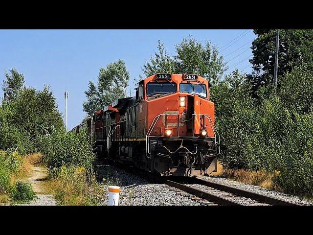 A Very Friendly Engineer Gives Me A Horn Show on CN C44-9W 2651 With Its K1L13 on Train 598!