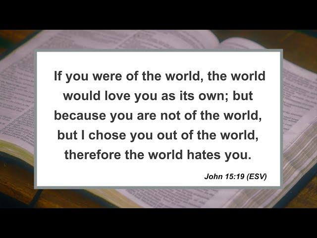 Morning Worship: Sermon "What to Expect from the World" John 15:18-27