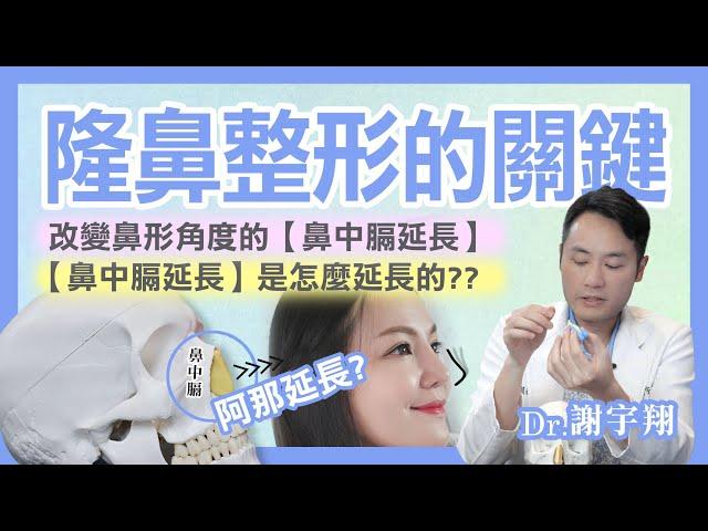 隆鼻整形的關鍵！鼻中膈延長是什麼？材質又該怎麼選？ l 仙杜瑞拉 謝宇翔醫師