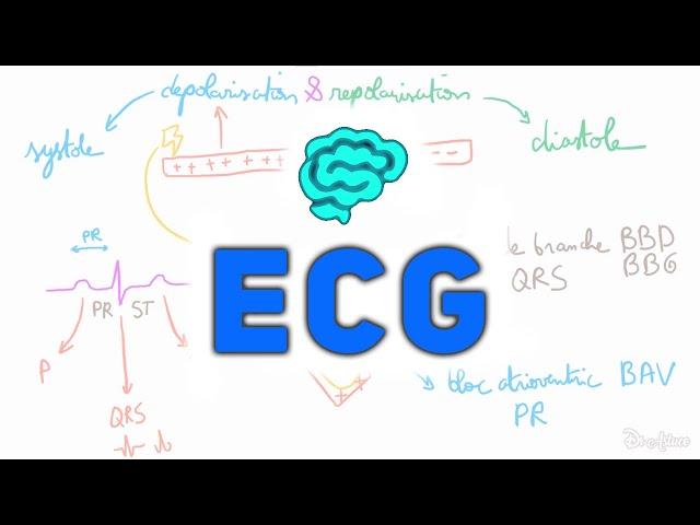  L' ECG Expliqué Très Clairement par Dr Astuce