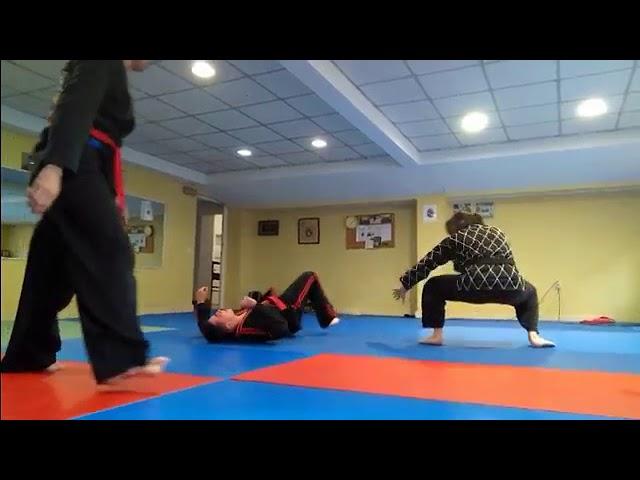 The Korea Hapkido Federation in Spain. Jimenez brothers