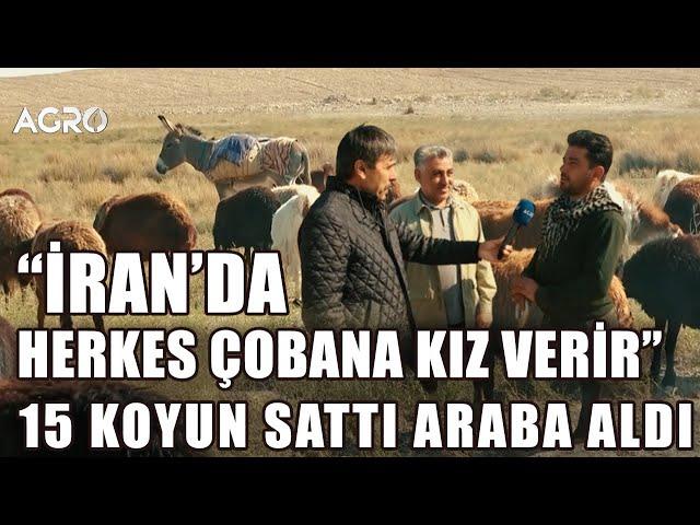 Çoban İran'da 15 Koyun Sattı Araba Aldı! "İran'da Herkes Çobana Kız Verir" / Abi Nerdesin?