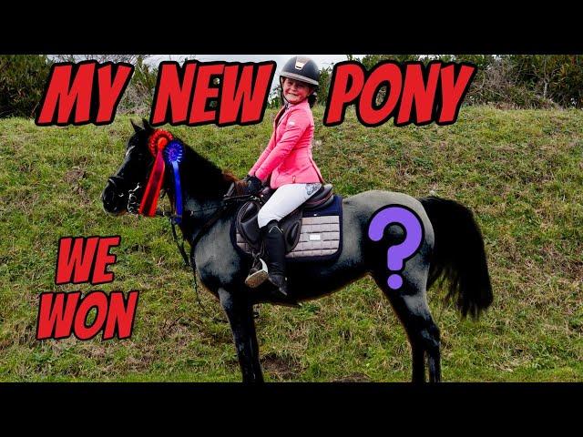 MY NEW PONY REVEAL