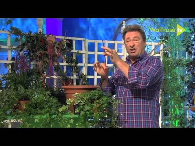 How to take hardwood cuttings - Waitrose Garden