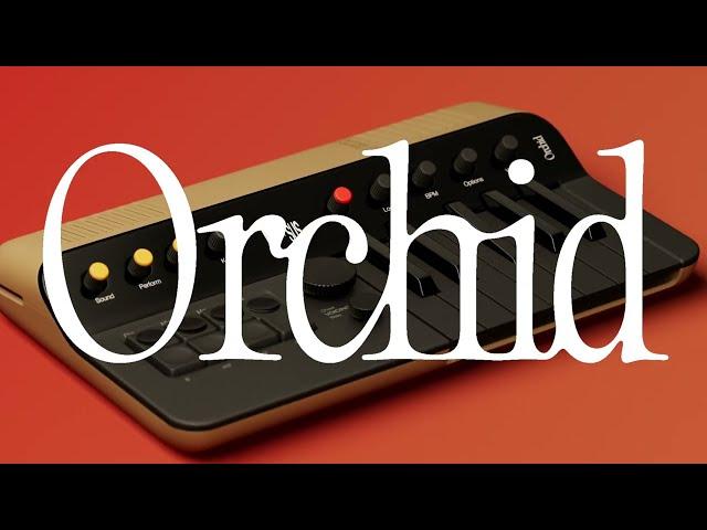 Orchid. For Chords.