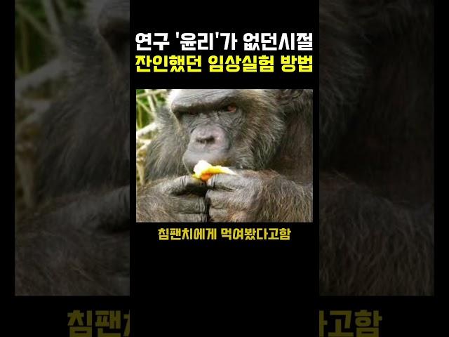 연구 윤리가 없던시절 ’미국‘의 임상실험 방법;;ㄷㄷ