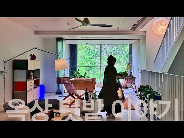 옥상 텃밭 이야기/슬기로운 나의 옥상 생활 vlog