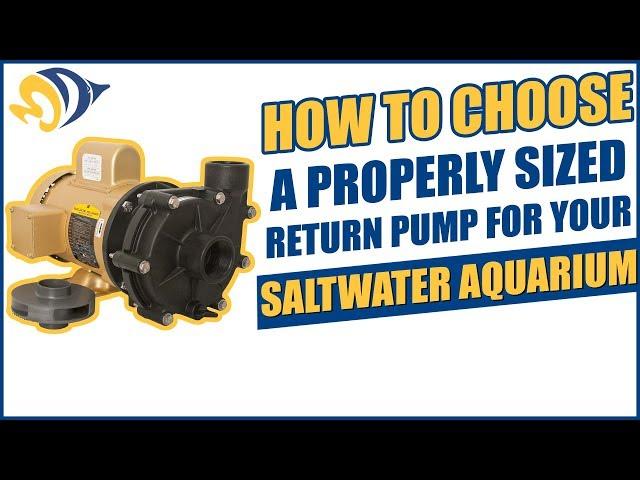 How to Choose a Properly Sized Return Pump for Your Saltwater Aquarium