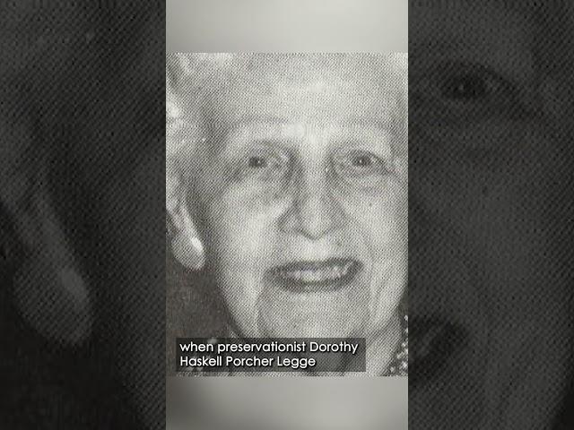 The History of Rainbow Row | Carolina Snaps
