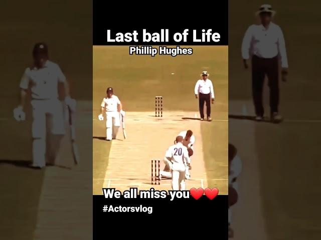 Last ball we all miss you Phillip Hughes ️ #actorsvlog #ytshorts #short