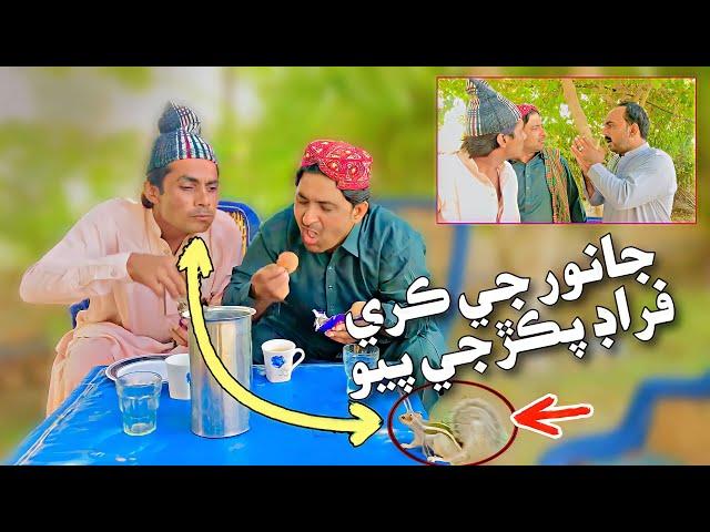 Janwar je kare Froud Pakarji Payo | Sajjad Makhni popat khan liaqat rajri | Sindhi funny 