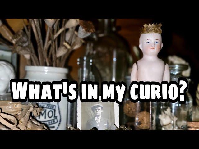 Curiosity Cabinet #2 Tour