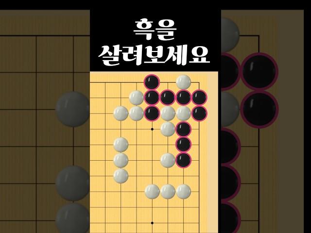 쉬운 바둑 사활 - 절묘하게 살려보세요