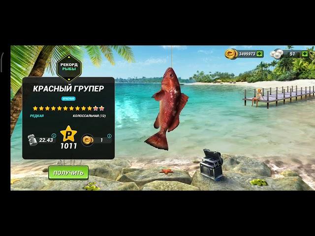 Игра с нуля / вытащил рыбу на 12 звёзд Fishing Clash: Реальная рыбалка