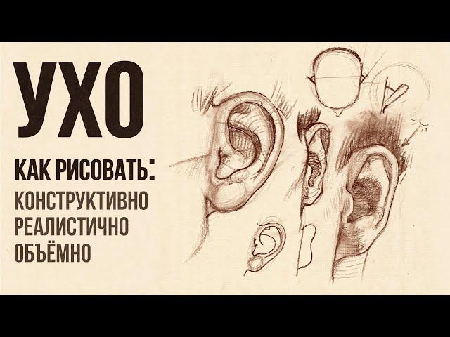 «КАК НАРИСОВАТЬ УШИ?» Практический видео-урок от Евгении Банник | Онлайн-школа Akademika