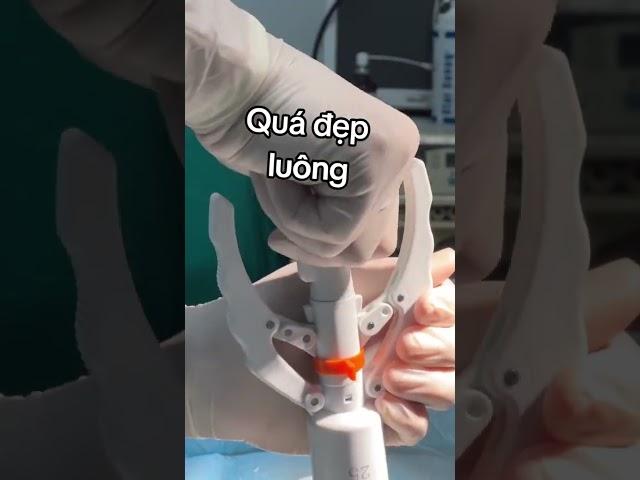 Quá đẹp luôn!
