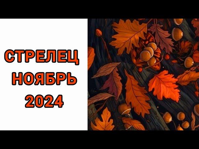 СТРЕЛЕЦ️ | НОЯБРЬ | ТАРО | 2024