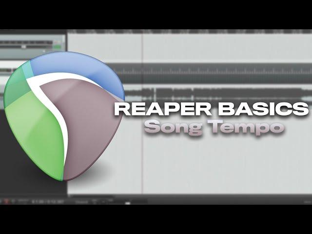 REAPER BASICS: Finding the tempo of a song using tap tempo