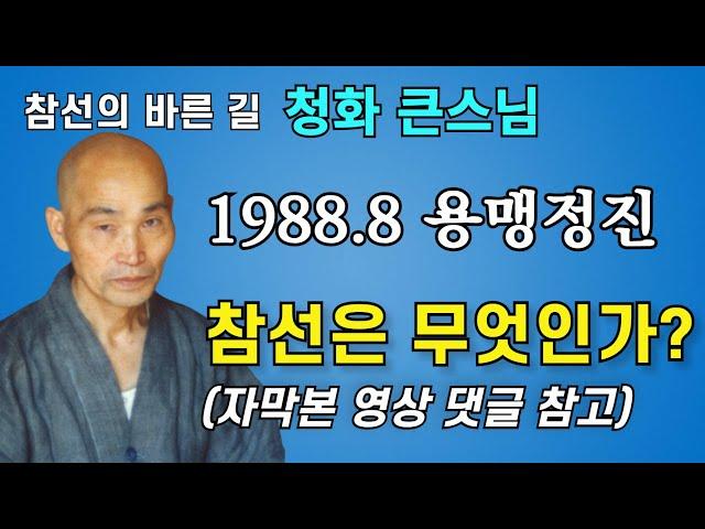 참선이 무엇인가 바른견해 바른정견 | 돈오돈수 돈오점수 참선 화두 묵조 염불선 | 청화스님 법문 19880807 태안사 하안거용맹정진입제