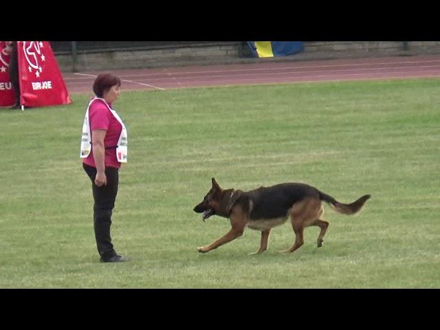 2018 WUSV Universal Sieger LAT-01 Inna Nikolajeva and Astrida Letton B=65