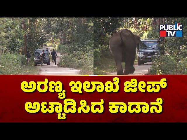 Wild Elephant Chases ETF Staff In Belur | Hassan