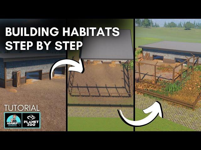 How To Build Habitats In Planet Zoo Tutorial | Build With Me |