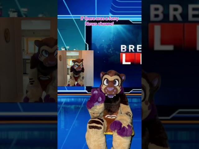 Furnews #furry #fursuit #costume #cosplay