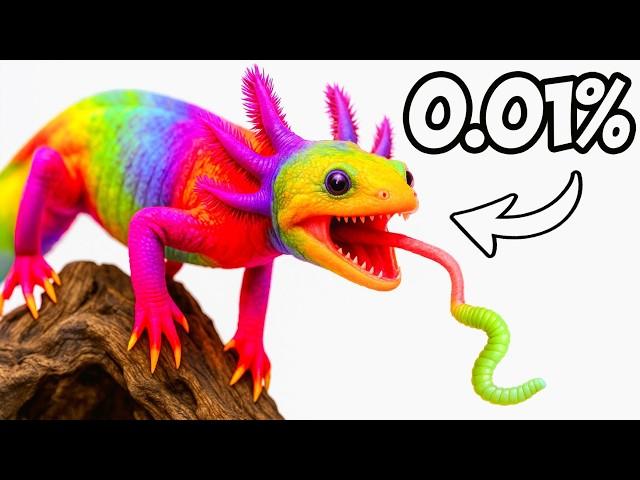 I Bought An Axolotl Mystery Box Off The Web...