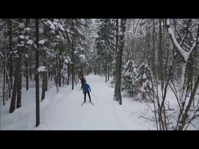 Видео с дрона. Прогулка на лыжах / Пироговский лесопарк