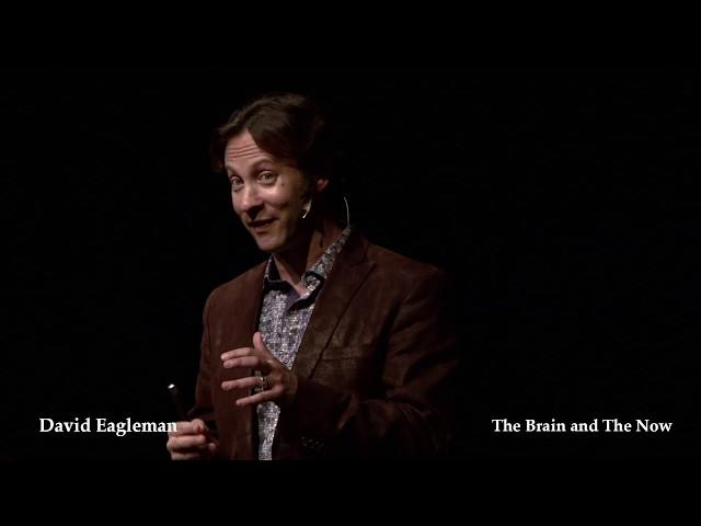 The Brain and The Now | David  Eagleman