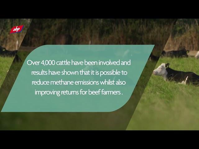 ABP Demo Farm 2022