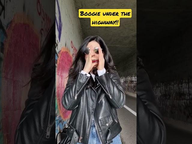 Harmonica boogie under the highway!! #harmonica #boogie #blues #hohnermusic #goldenmelody #highway