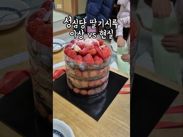 성심당 딸기시루 과연 현실은..? #shorts #성심당 #딸기시루