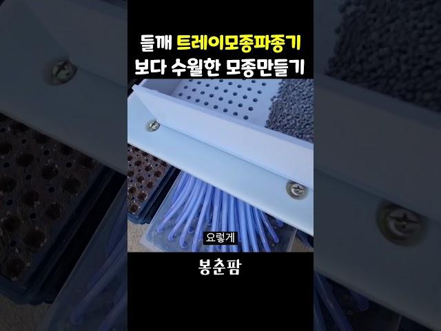 들깨 트레이모종파종기 모종작업과정 #shorts