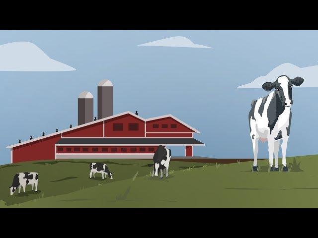 Semex Animated Explainer Video