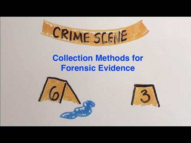 Forensic Evidence and DNA: considering the collection methods