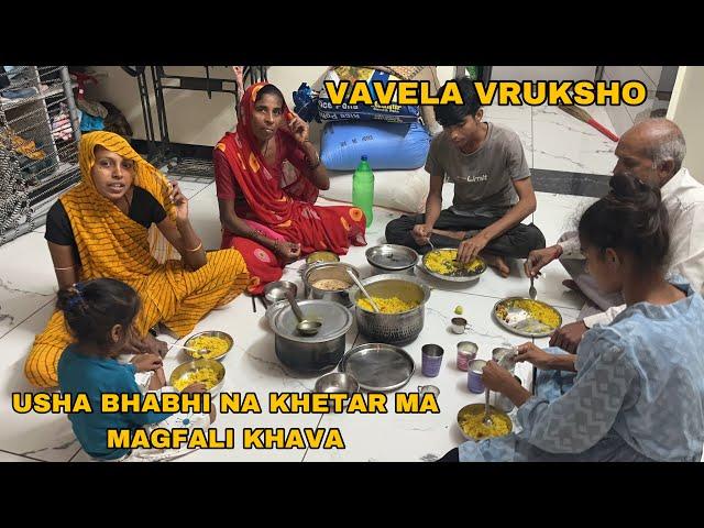 Aaj Usha Bhabhi Na Khetar Ma Magfali Khava Aakhu Family | Vavela Vuksho Ketla Ugya | Family Vlogs