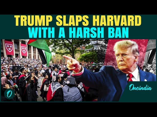 Trump VS Harvard University | President issues new ULTIMATUM to the prestigious university