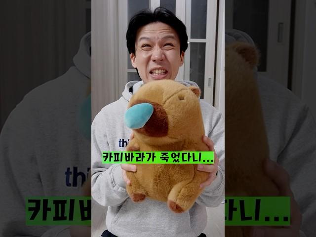 카피바라2+2=다섯마리? 아빠의 기적의 계산법!ㅋㅋㅋㅋㅋ#shorts