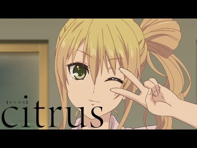 Normal Between Siblings | citrus