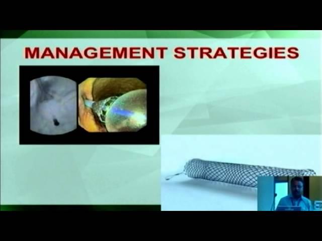 30 Light Update2015 - Dr. L Venkatakrishnan