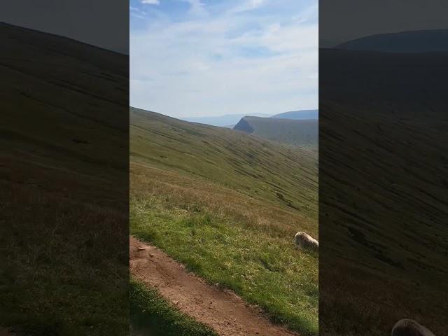 Corn Du and Pen Y Fan #nature #hikking #solohiking #outdooradventure #mountains #nature