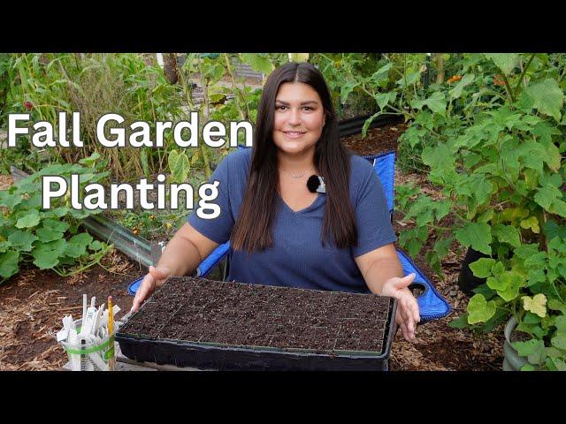 Planting my FALL GARDEN | Seed starting fall crops