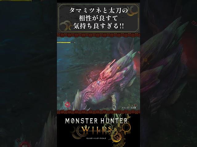 タマミツネと太刀の相性が良すぎる！！【モンハンワイルズ】【ネタバレ注意】【初見攻略】【昏咲ネイ】【Steam版】