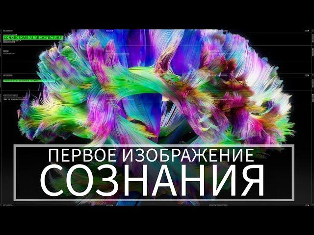 Что такое СОЗНАНИЕ в 2024? | Новейшие открытия и эксперименты