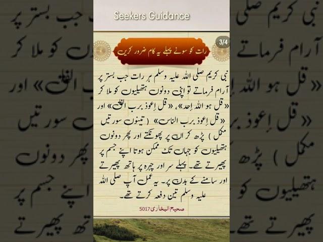 Hadeesnabvi #shorts #ytshorts #pyarenabikipeyaribate #seekersguidance