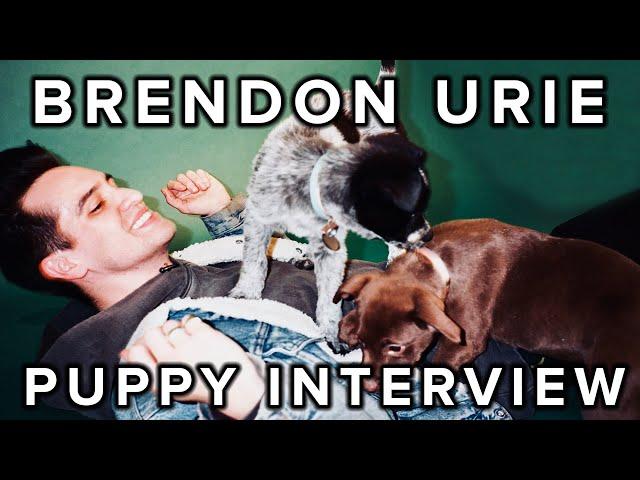 The Puppy Interview With Brendon Urie Of Panic! At The Disco