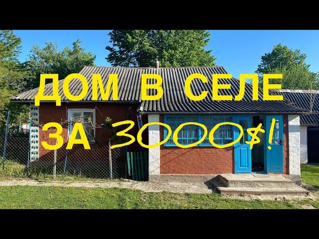 ДОМ В СЕЛЕ ЗА 3000$! 60 СОТОК ЗЕМЛИ! УКРАИНА